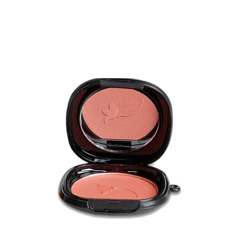 joues poudre blush makeup.